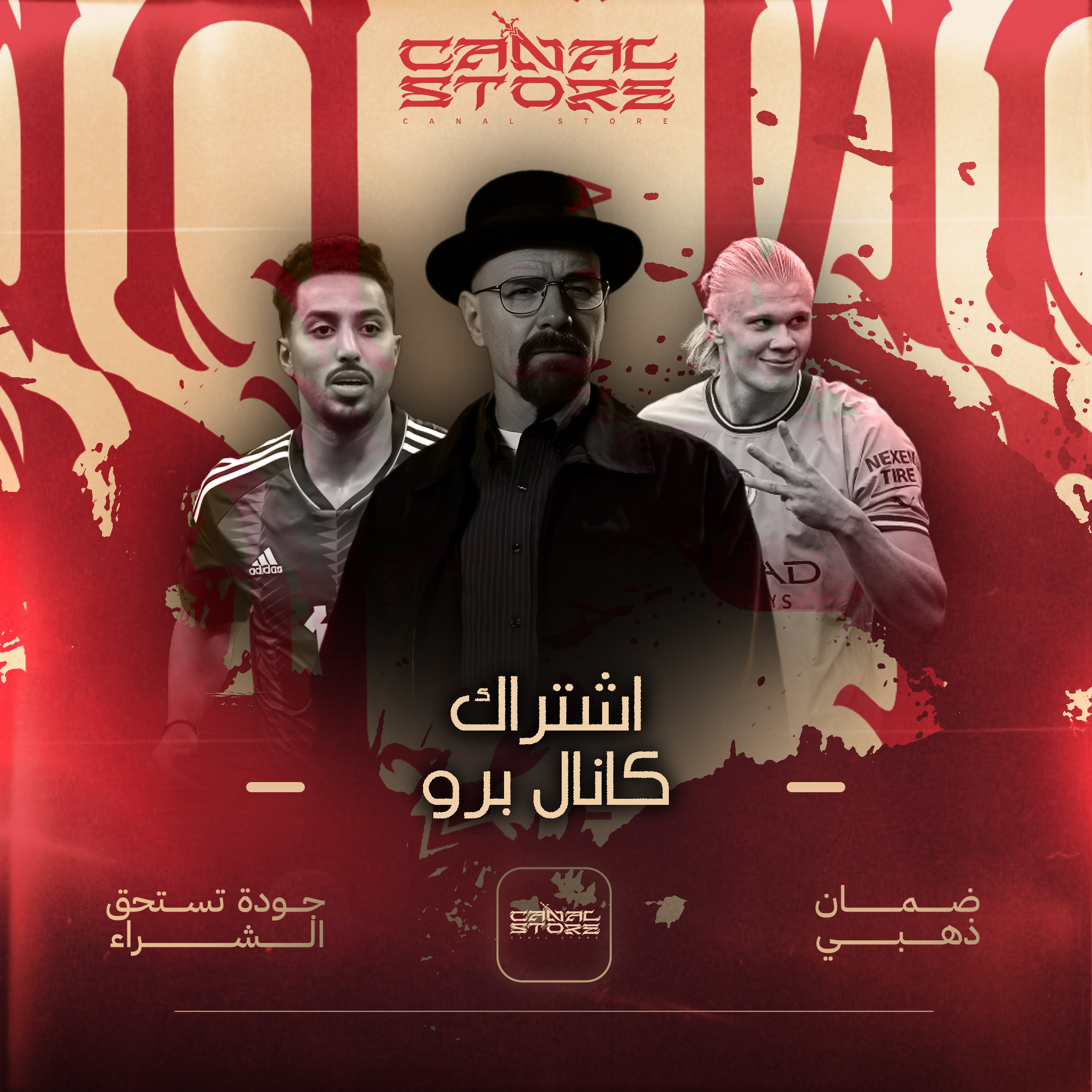 كانال برو (سنه)